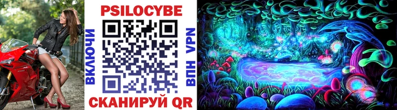 Псилоцибиновые грибы Psilocybine cubensis  Железногорск-Илимский 